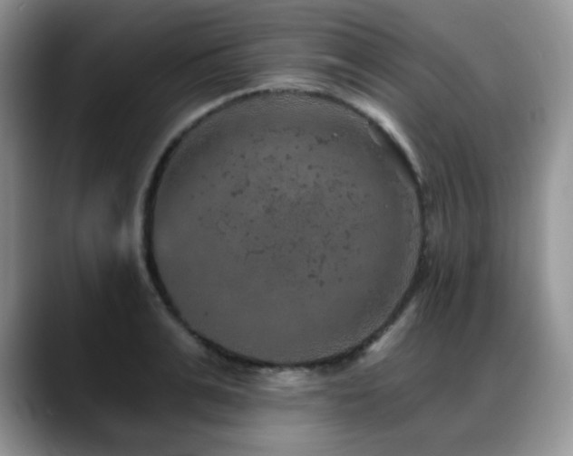 X0000088850991200706081131