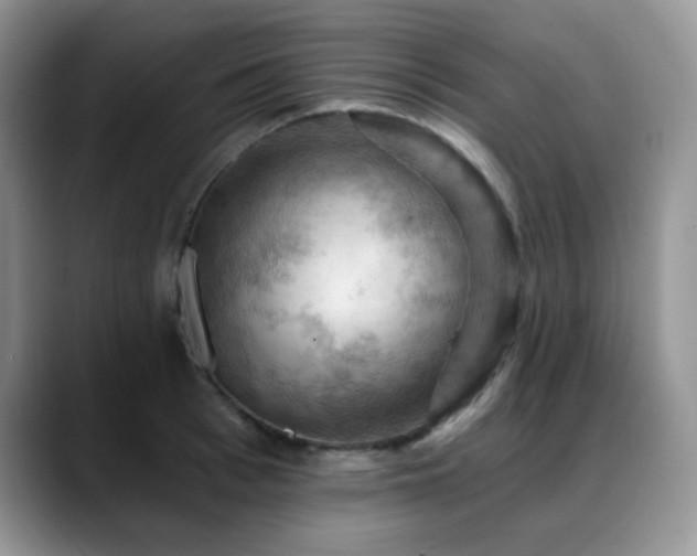 X0000088850993200706081131