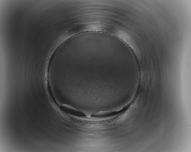 X0000088850994200706081131