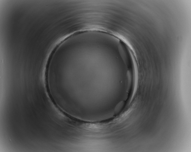 X0000088850995200706081131