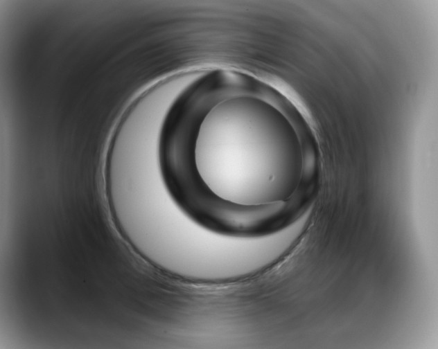 X0000088850996200706081131
