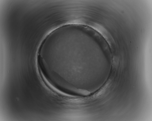 X0000088850998200706081131