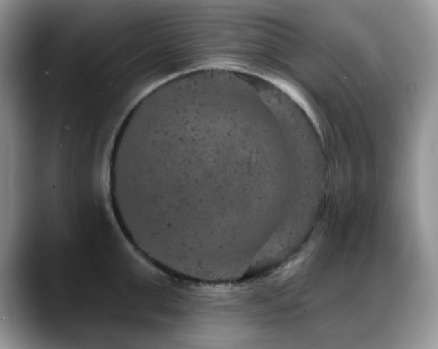 X0000088850999200706081131