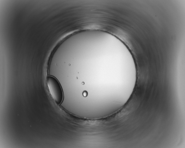 X0000088851000200706081131
