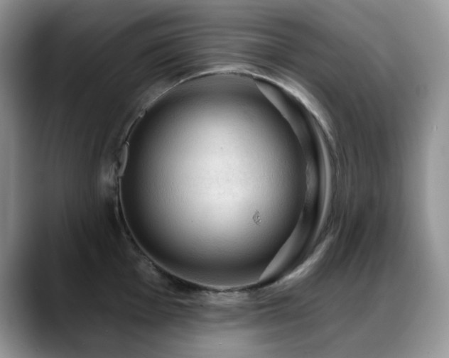 X0000088851001200706081131