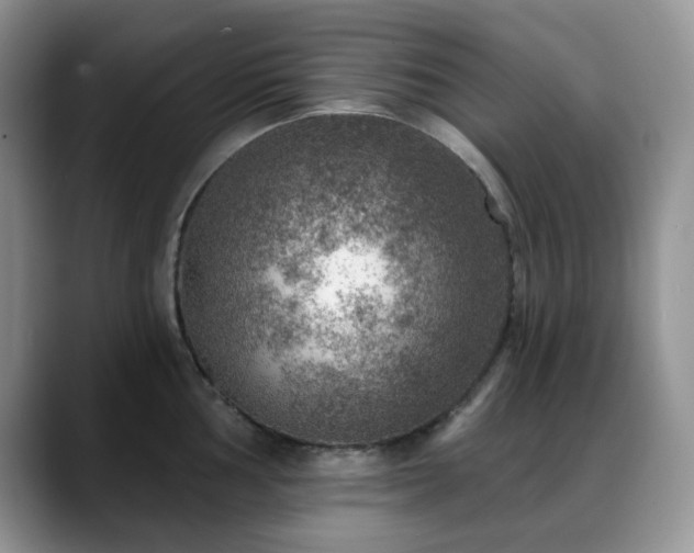 X0000088851002200706081131
