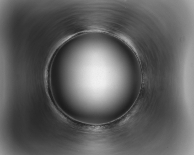 X0000088851003200706081131