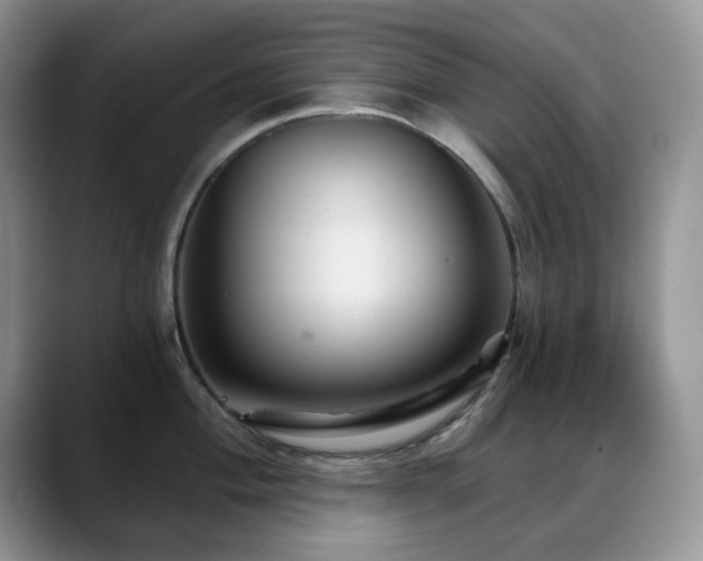 X0000088851004200706081131