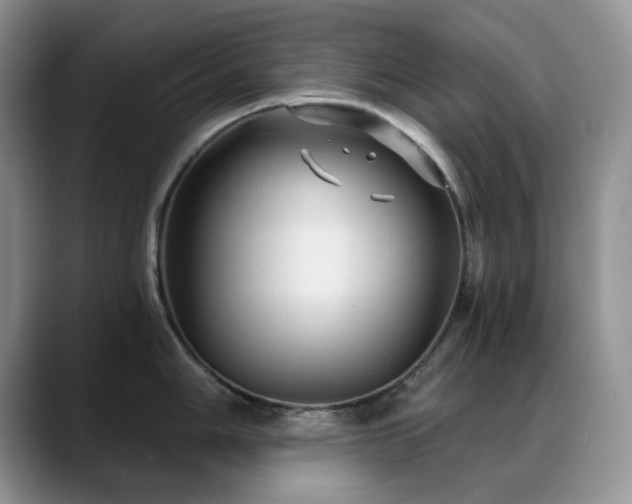 X0000088851006200706081131