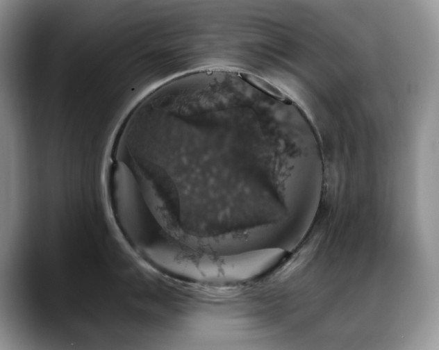 X0000088851007200706081131