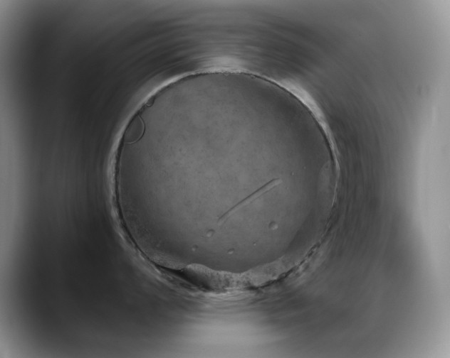 X0000088851008200706081131