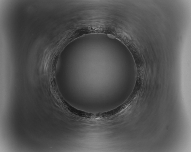 X0000088851009200706081130