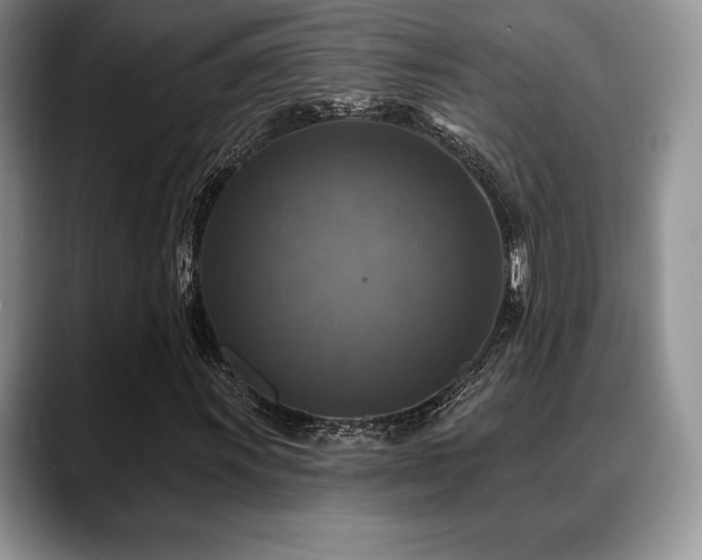 X0000088851011200706081131