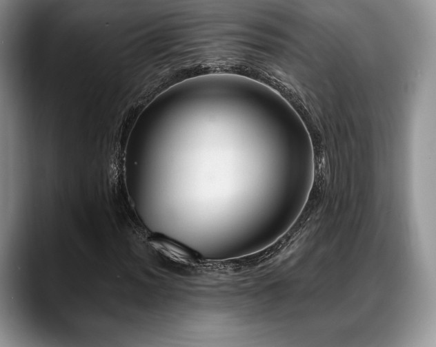 X0000088851012200706081131