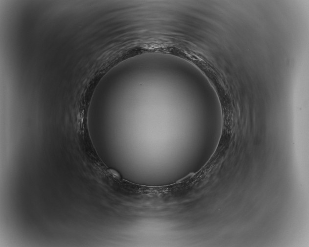 X0000088851013200706081131