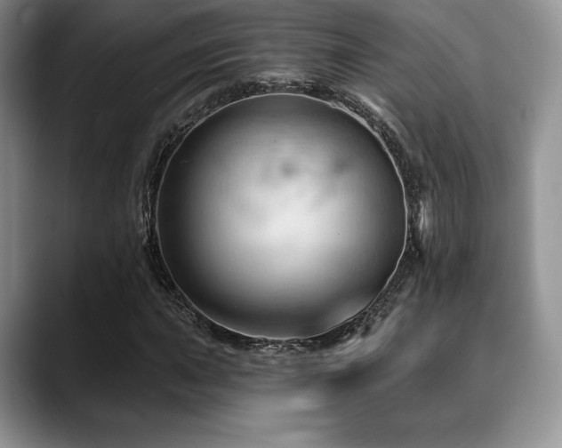 X0000088851015200706081131