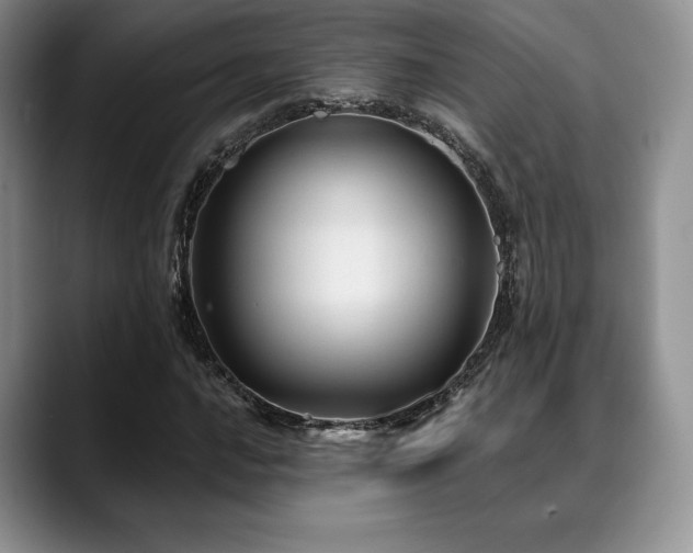 X0000088851016200706081131