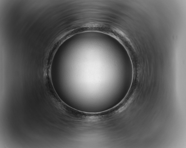 X0000088851017200706081131
