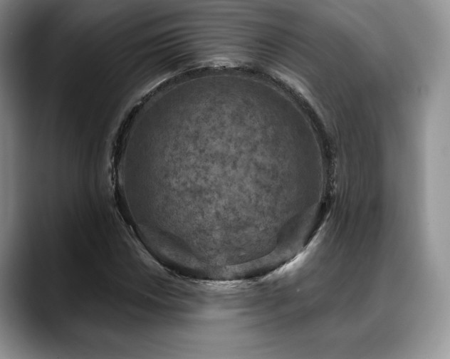 X0000088851018200706081131