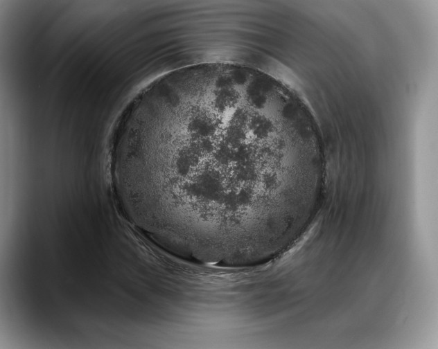 X0000088851019200706081131