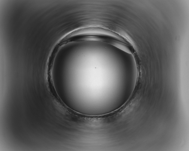 X0000088851020200706081131