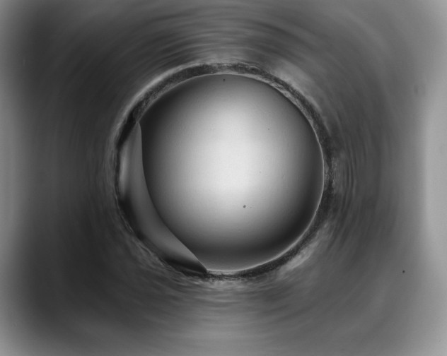X0000088851021200706081131