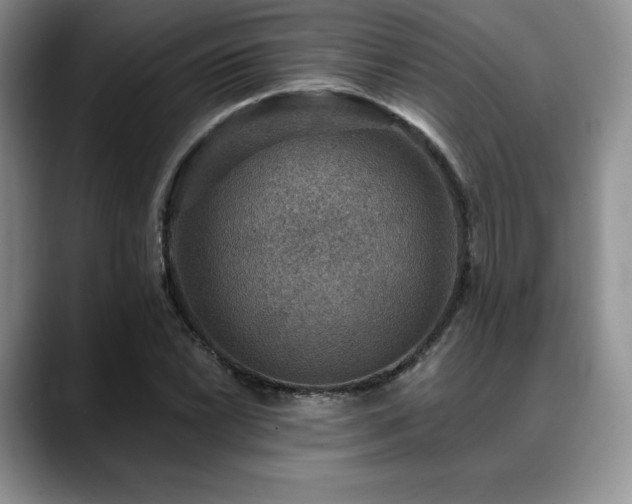 X0000088851022200706081131