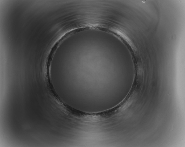 X0000088851023200706081131
