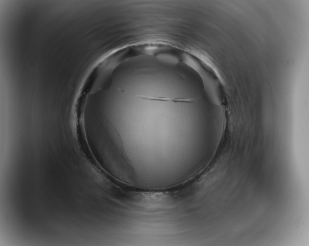 X0000088851024200706081131