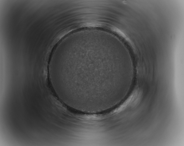 X0000088851025200706081131