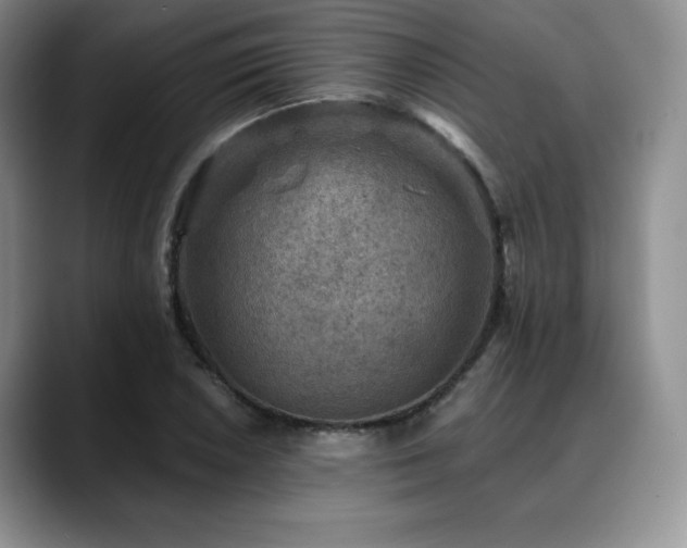 X0000088851026200706081131