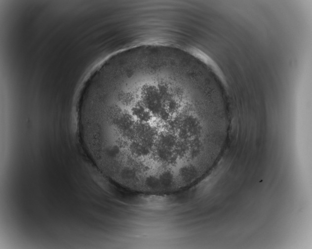 X0000088851027200706081131