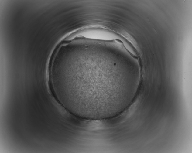 X0000088851028200706081131