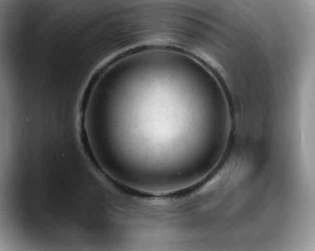 X0000088851029200706081131