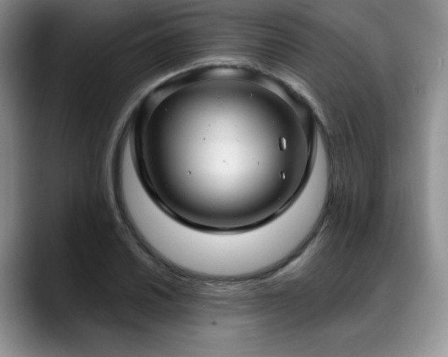 X0000088851030200706081131