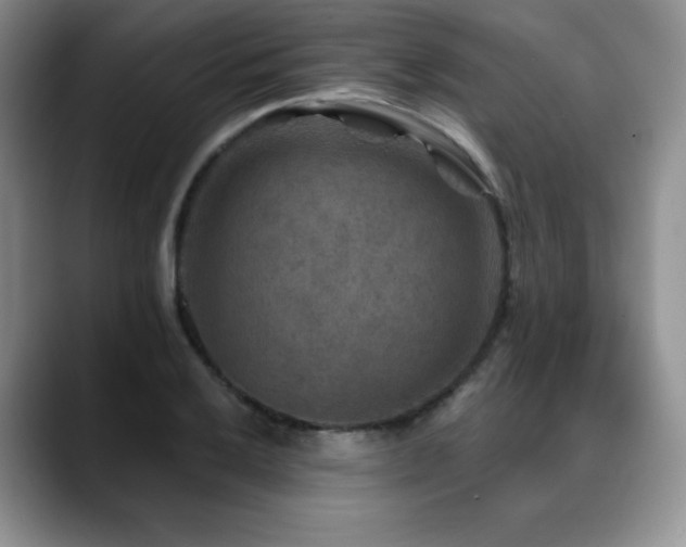 X0000088851032200706081131