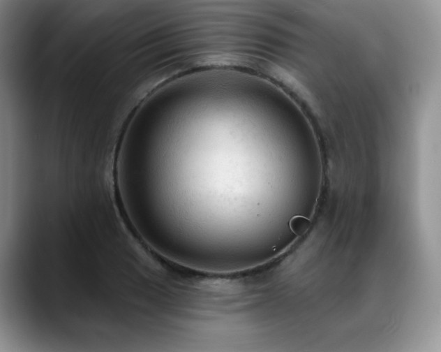 X0000088851033200706081131