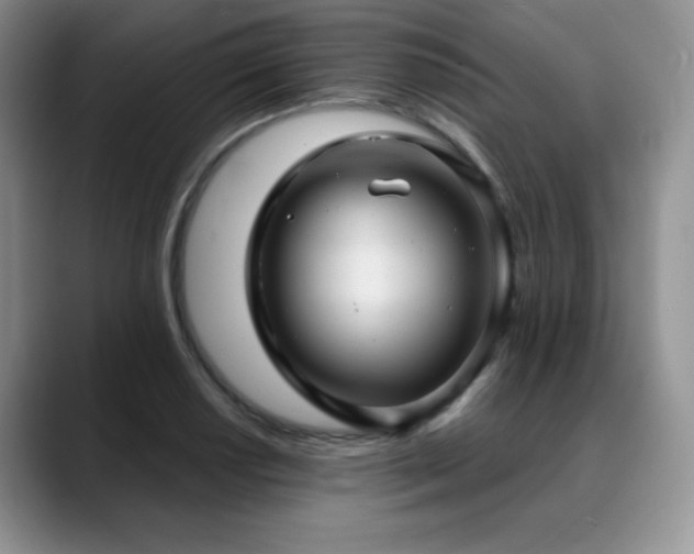 X0000088851034200706081131