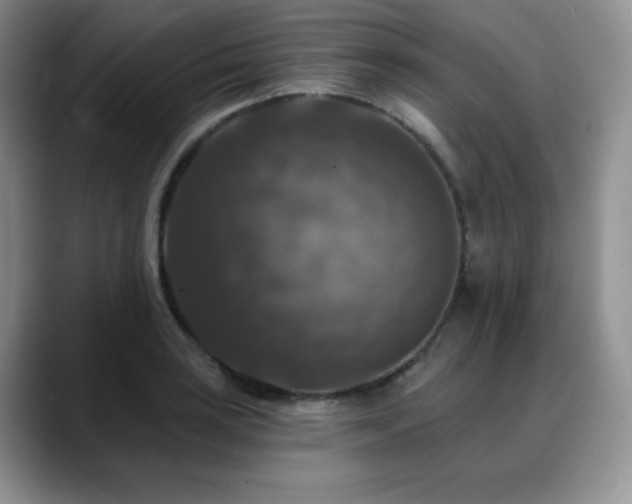 X0000088851035200706081131