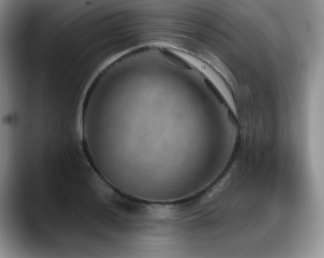 X0000088851036200706081131
