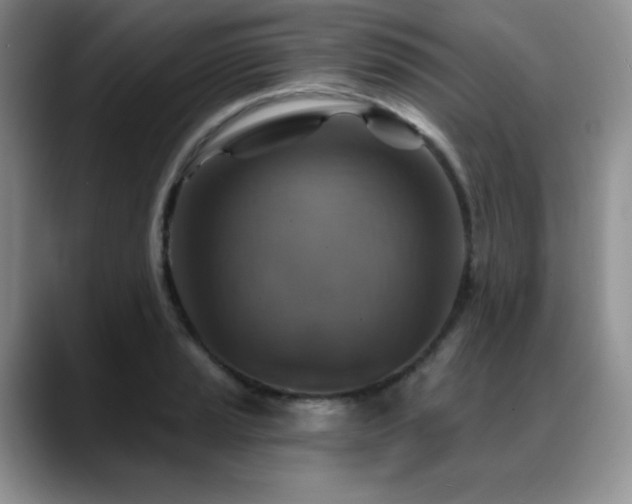 X0000088851037200706081131