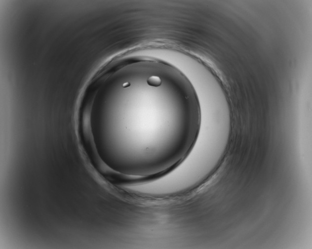 X0000088851038200706081131