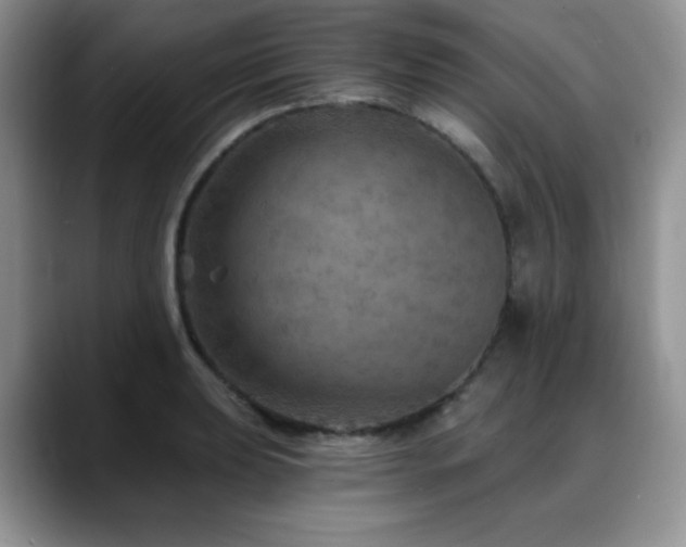 X0000088851039200706081131