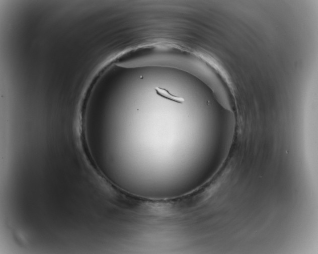 X0000088851040200706081131