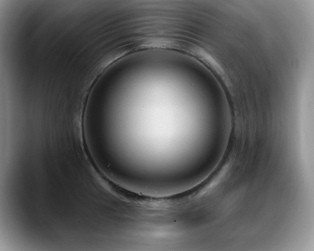 X0000088851041200706081131