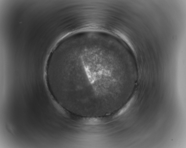 X0000088851042200706081131