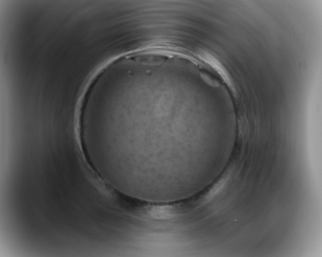 X0000088851043200706081131