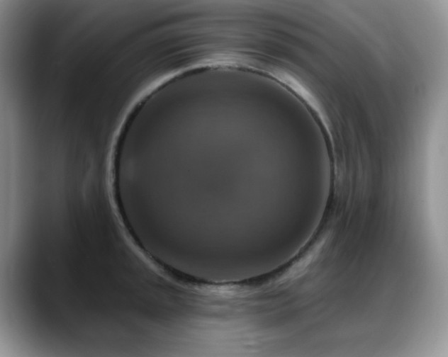 X0000088851045200706081131