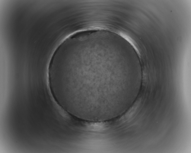 X0000088851047200706081131