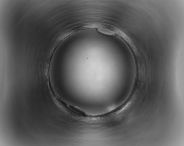 X0000088851049200706081131